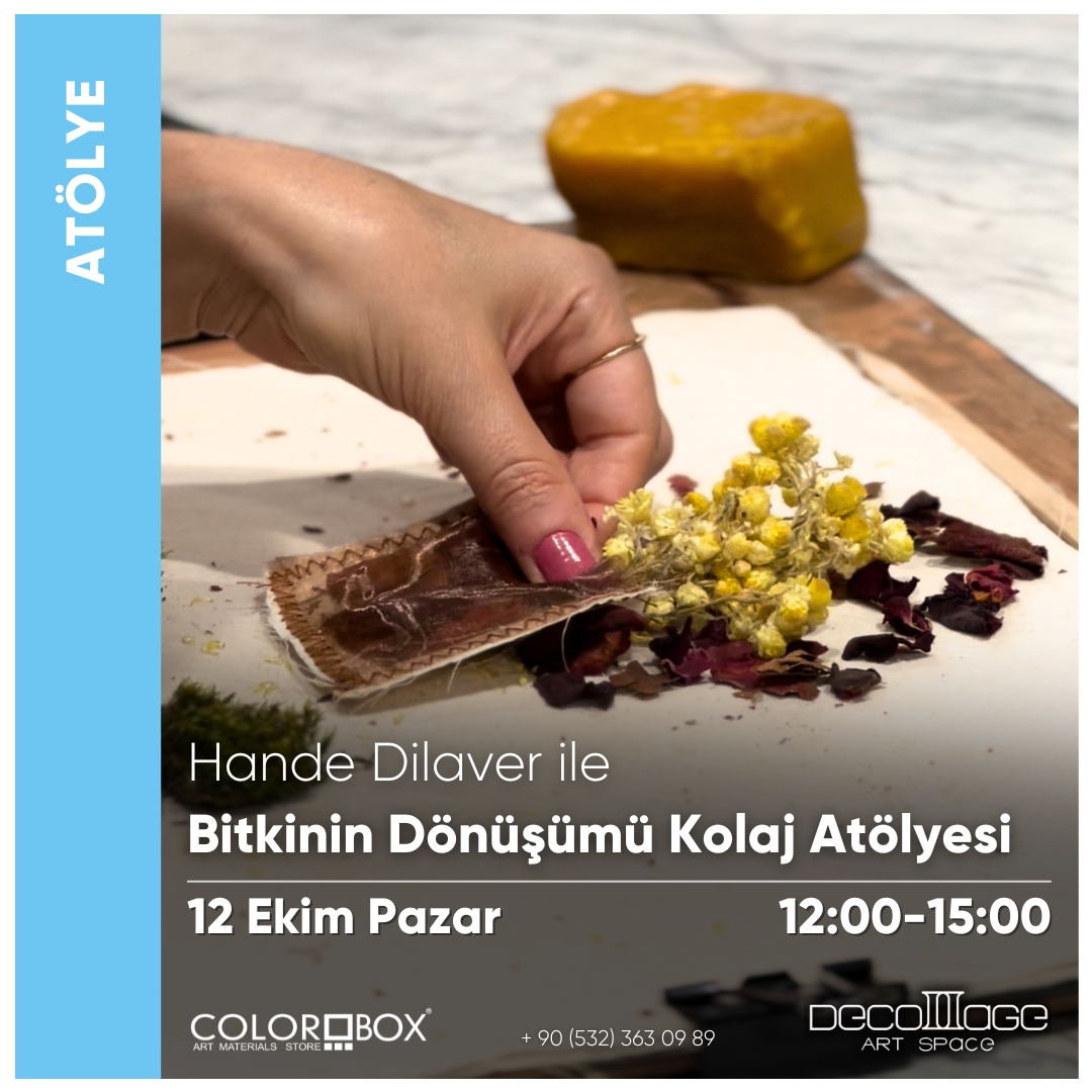 Kolajda Köklenmek: Bitkinin Dönüşümü Atölyesi resmi